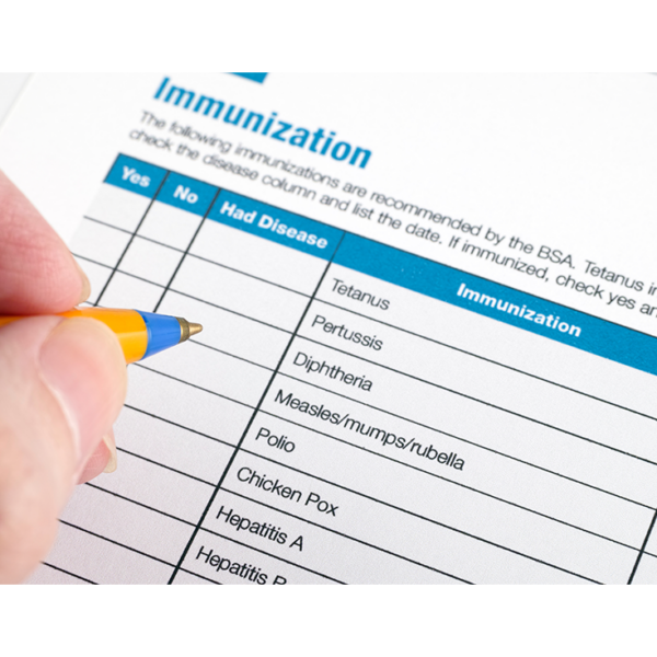 Blank immunization record